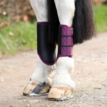 Buy Equilibrium Breathable Tri-Zone Brushing Boots Plum | Online for Equine