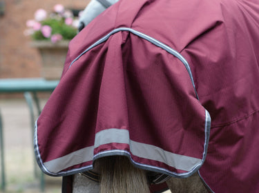 Buy WeatherBeeta ComFiTec Plus Dynamic II 100g Lightweight Combo Neck Turnout Rug| Online for Equine