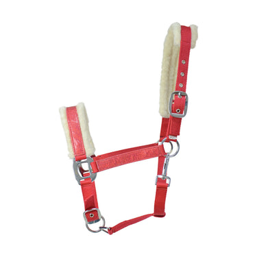 HY Christmas Santa Headcollar