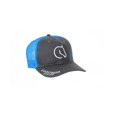 Coldstream Baseball Cap-Grey/Blue-One Size