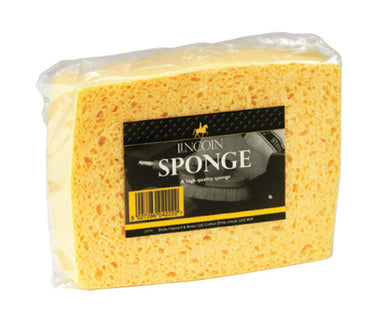 Lincoln High Quality Sponge-One Size