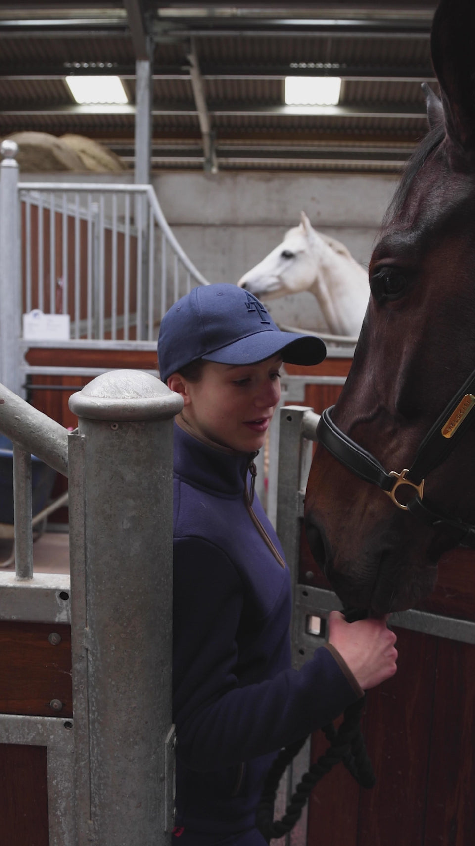 Buy Shires Tempest Plus Navy Tartan 100g Combo Stable Rug| Online for Equine