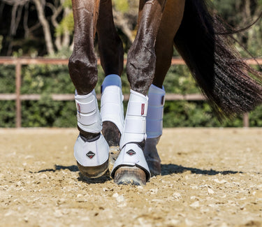 Buy LeMieux ProShell Brushing Boots| Online for Equine