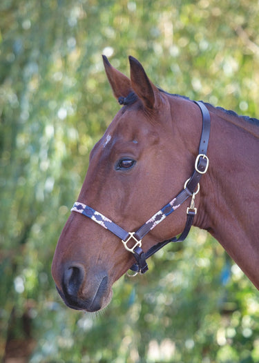 Shires Blenheim Leather Polo Headcollar