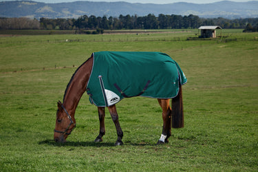 Weatherbeeta Comfitec Plus Dynamic Turnout 0G Forest Green/ Navy