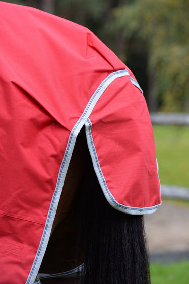 Buy Weatherbeeta ComFiTec Classic No Fill Standard Neck Turnout Rug | Online for Equine
