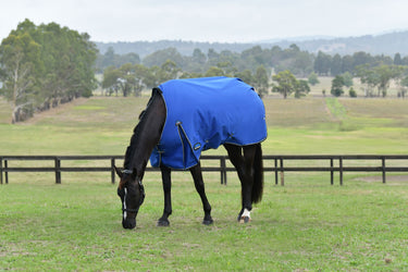 Weatherbeeta Comfitec Essential Turnout 220G Cobalt/Black