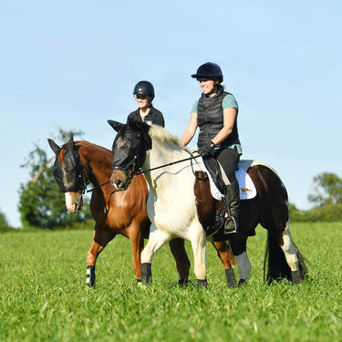 Buy Equilibrium Net Relief Riding Mask| Online for Equine