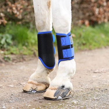 Buy Equilibrium Breathable Tri-Zone Brushing Boots Royal Blue | Online for Equine