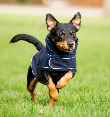 Horseware Ireland Signature Dog Rain Coat 0G