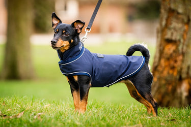 Horseware Ireland Signature Dog Rain Coat 0G