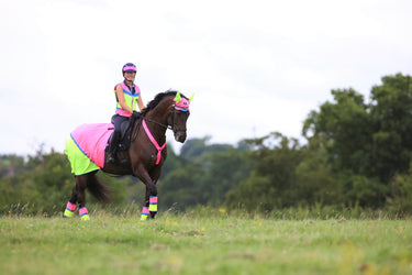 Buy Equisafety Hi Vis Multi Coloured Summer Horse Sheet| Online for Equine
