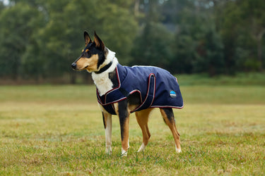 Buy Weatherbeeta Comfitec Premier Deluxe Waterproof Dog Coat Burgundy/Navy | Online for Equine