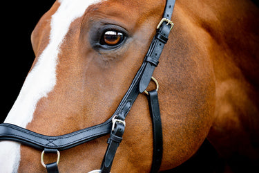 Buy Horseware Ireland Micklem 2 Competition Bridle With Reins | Online for Equine