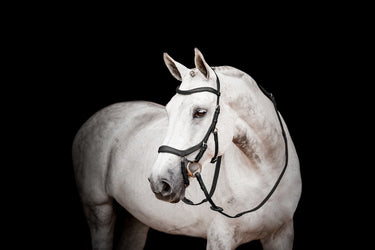 Buy Horseware Ireland Micklem 2 Competition Bridle With Reins| Online for Equine
