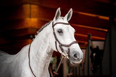 Buy Horseware Ireland Micklem 2 Competition Bridle With Reins| Online for Equine