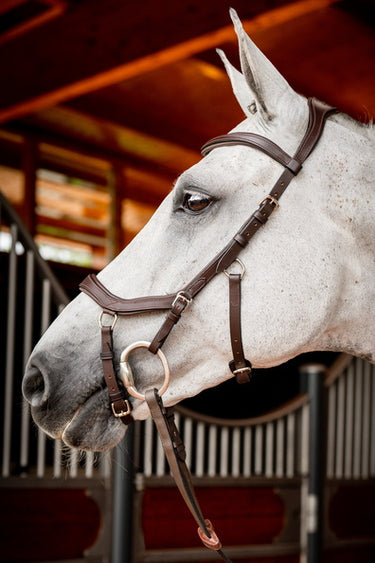 Buy Horseware Ireland Micklem 2 Competition Bridle With Reins| Online for Equine