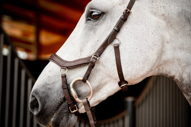 Buy the Horseware Ireland Micklem 2 Competition Bridle | Online for Equine