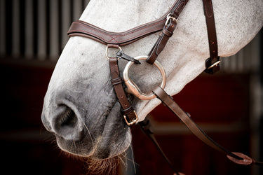 Buy Horseware Ireland Micklem 2 Competition Bridle With Reins| Online for Equine
