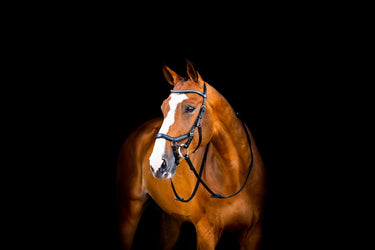 Buy the Horseware Ireland Micklem 2 Diamante Competition Bridle| Online for Equine