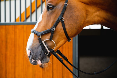 Buy the Horseware Ireland Micklem 2 Diamante Competition Bridle| Online for Equine