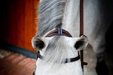 Buy the Horseware Ireland Rambo Micklem 2 Multi Bridle| Online for Equine