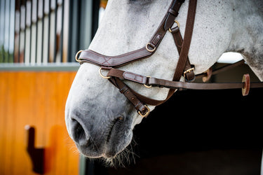 Buy the Horseware Ireland Rambo Micklem 2 Multi Bridle| Online for Equine