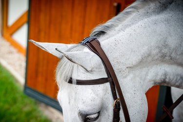 Buy the Horseware Ireland Rambo Micklem 2 Multi Bridle| Online for Equine