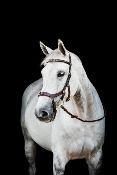 Buy Horseware Ireland Micklem 2 Multi Bridle| Online for Equine