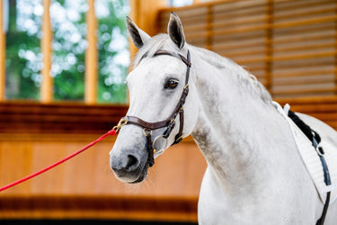 Buy the Horseware Ireland Rambo Micklem 2 Multi Bridle| Online for Equine