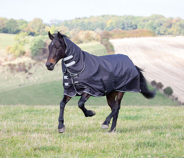 Buy Shires Tempest Plus 300g Combo Turnout Rug | Online for Equine