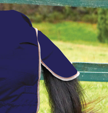 Buy WeatherBeeta ComFiTec Classic 220g Mediumweight Combo Neck Turnout Rug| Online for Equine
