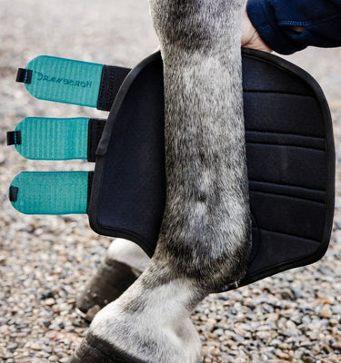 Horseware Ireland Classic Brushing Boots Dynasty Green