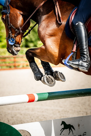 Horseware Ireland Classic Tendon Boots