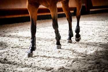 Horseware Ireland Classic Tendon Boots