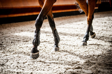 Horseware Ireland Classic Fetlock Boots