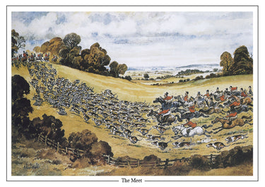 Buy Thelwell Greeting Cards| Online for Equine