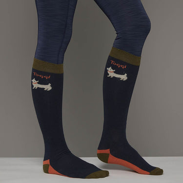 Buy the Toggi Outdoor Fido Sock Multi Pack | Online for Equine