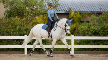 LeMieux Ice Blue Loire Fly Hood