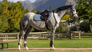 LeMieux Luxury Ice Blue Suede Close Contact Jump Square