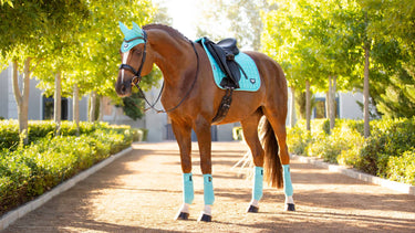 Buy LeMieux Azure Loire Classic Dressage Square| Online for Equine