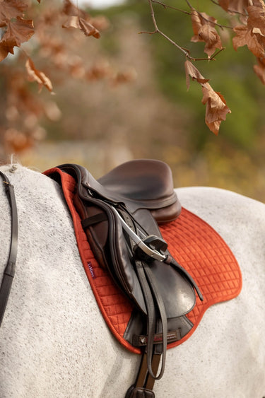 Buy Le Mieux Sienna GP Suede Square | Online for Equine