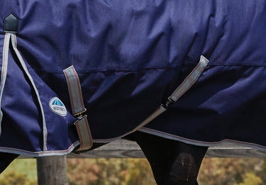 Buy WeatherBeeta ComFiTec Classic 220g Mediumweight Combo Neck Turnout Rug| Online for Equine
