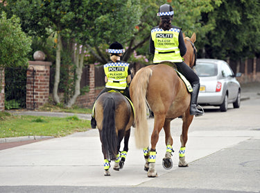 Buy Equisafety Adult Polite "Please Slow Down" Hi Viz Waistcoat| Online for Equine