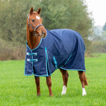 Buy the Bridleway Ontario Lightweight Standard Neck Turnout Rug | Online for Equine