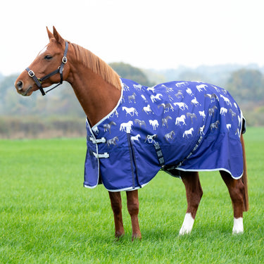 Buy the Bridleway Ontario Lightweight Standard Neck Turnout Rug | Online for Equine