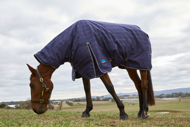 Weatherbeeta Comfitec Prelim Turnout Combo 220G Navy Embossed Plaid