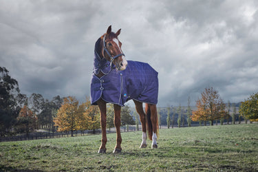 Weatherbeeta Comfitec Prelim Turnout Combo 220G Navy Embossed Plaid