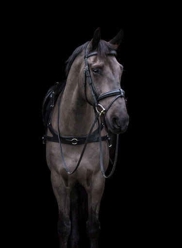 Buy EcoRider Freedom Breastplate| Online for Equine