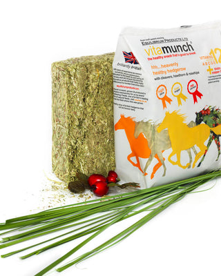 Buy Equilibrium Marvelous Meadow Munch Blocks | Online for Equine